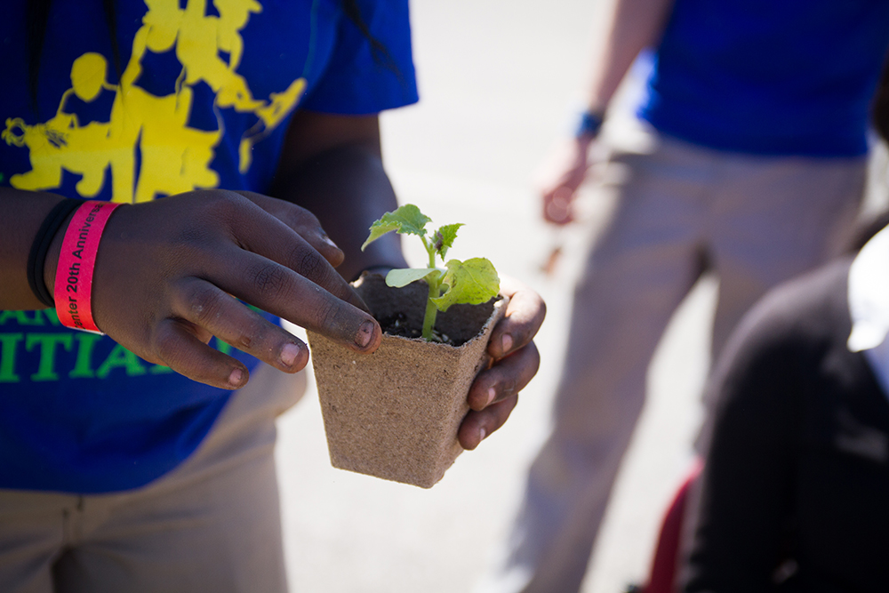 Student holding a seedling to plant
