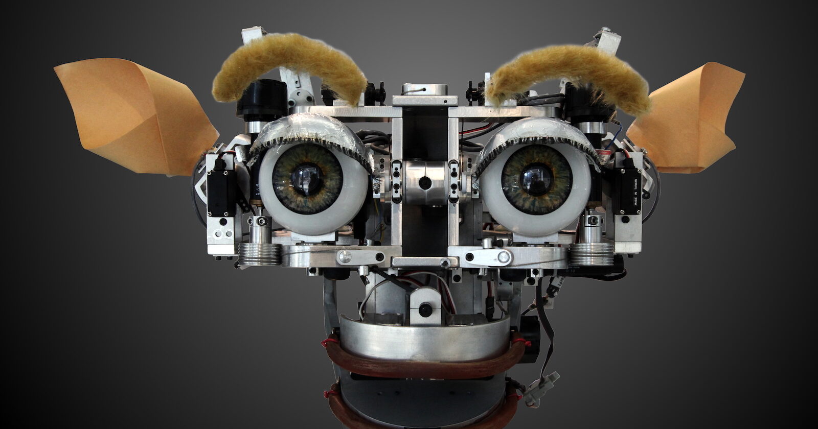 Kismet robot