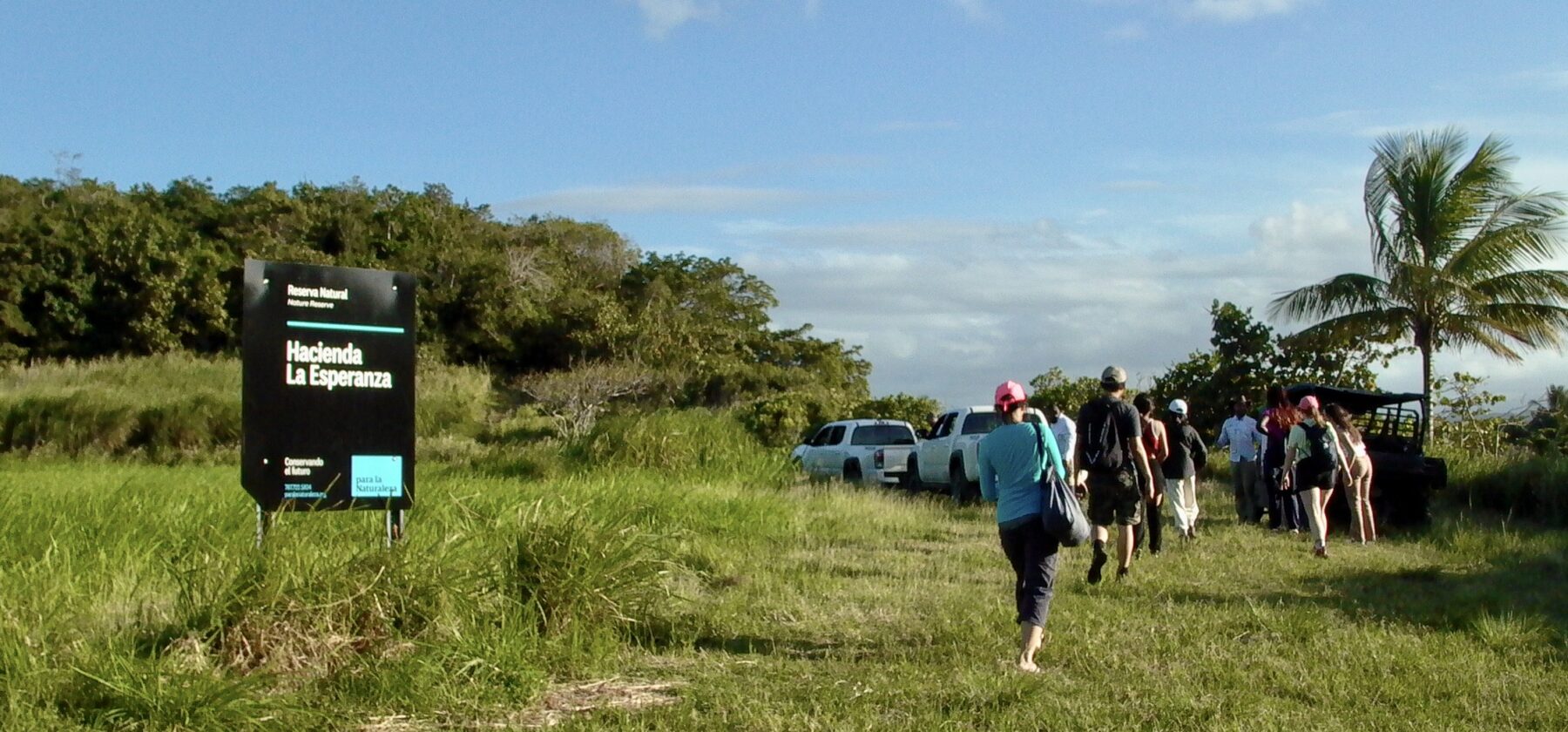 visitors to a natural reserve walking through grass back to their vehicles. Blue skies and trees in distance.